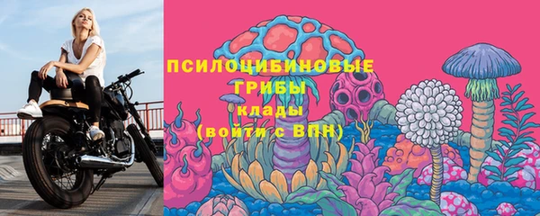 каннабис Арсеньев
