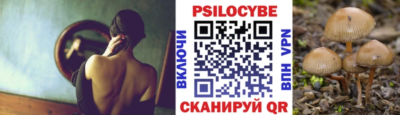 продажа наркотиков  Тырныауз  Псилоцибиновые грибы Magic Shrooms 